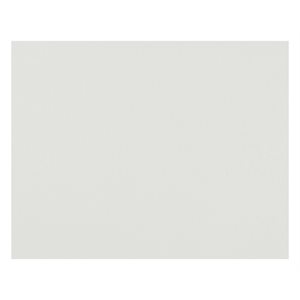 Poster Board 4 ply WHITE ~CASE 100
